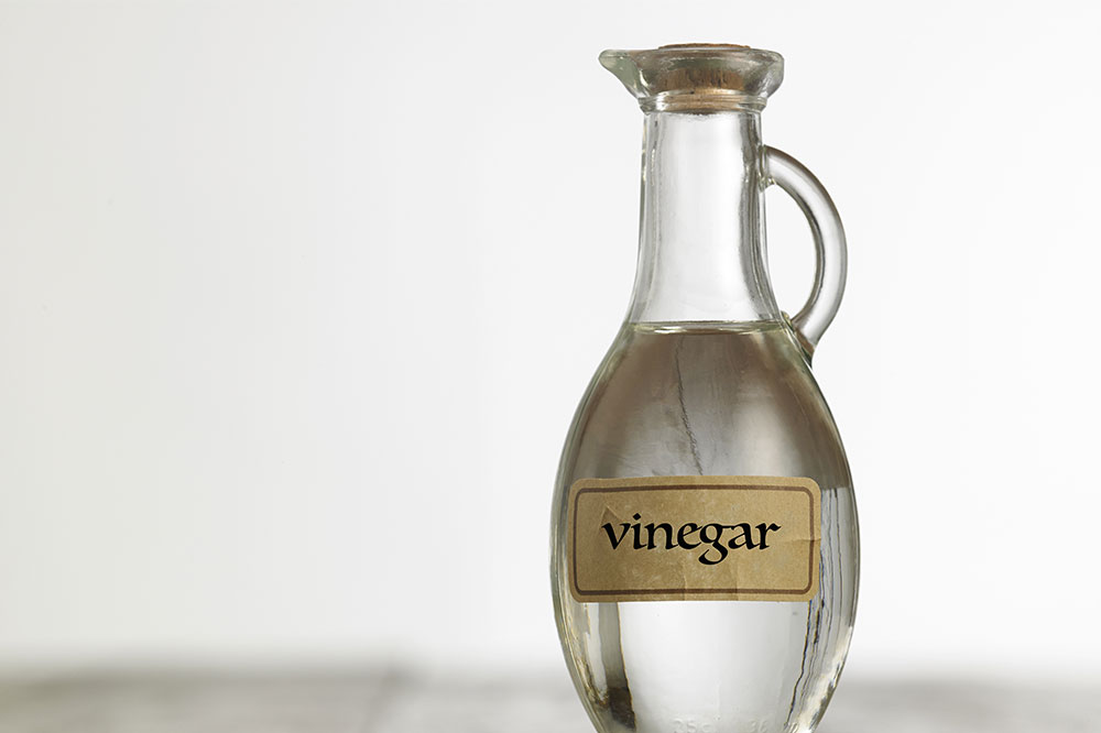 White Vinegar for Ant Control – How It Works and Ways to Use